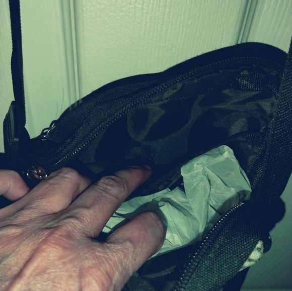 Canvas 🐢 Small Crossbody - Picture 5 of 7